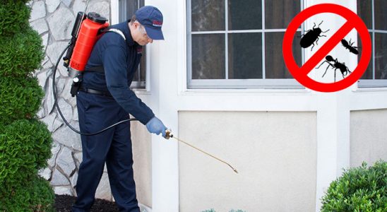 Hisarcık Böcek İlaçlama böcek ilaçlama ve haşere kontrolü — ilaclama-tr.com